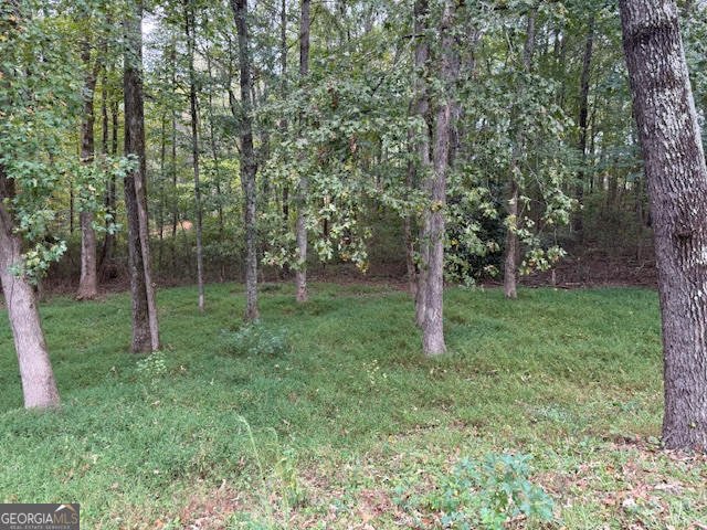 5030 Lake Parkway McDonough - 40