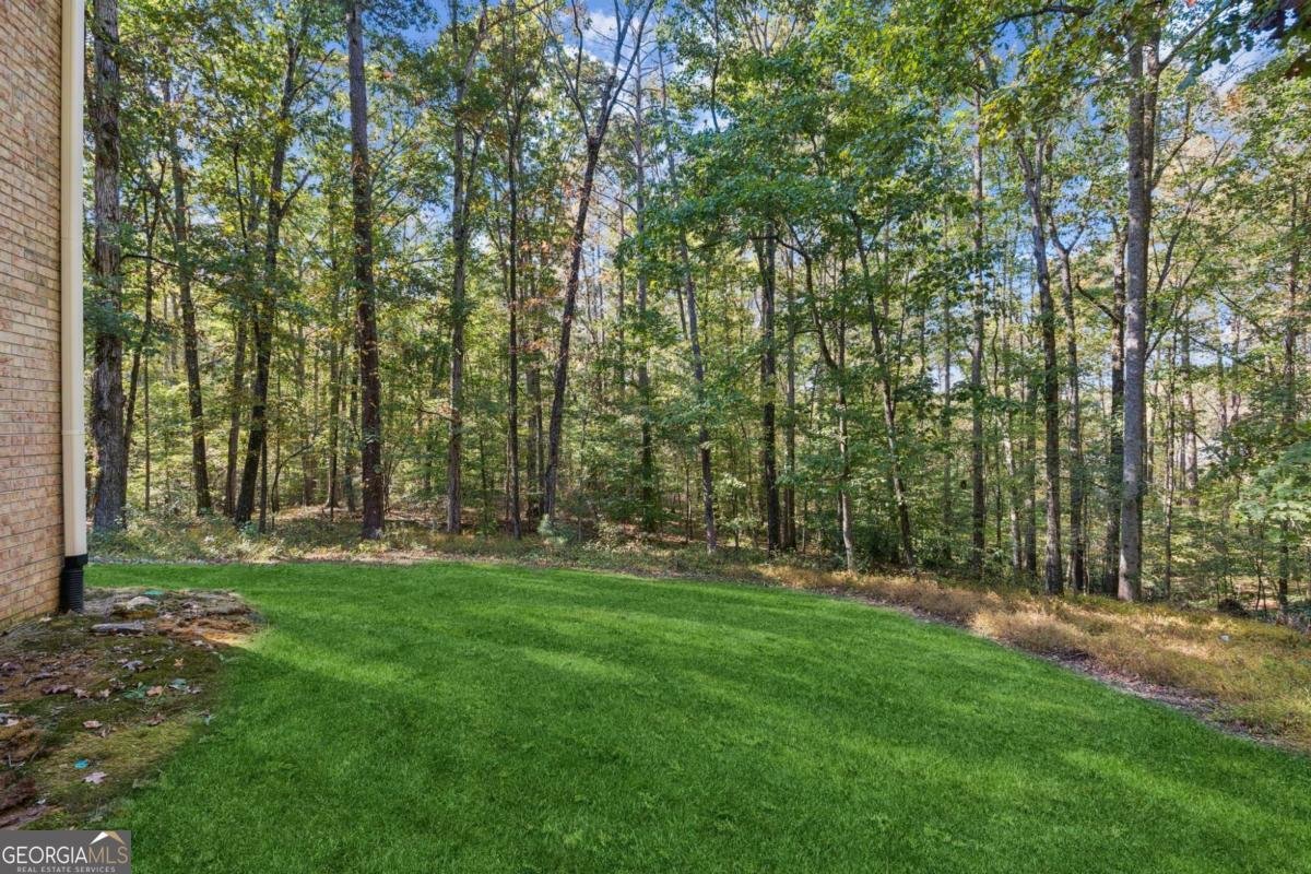 4201 Antelope Lane Snellville - 10