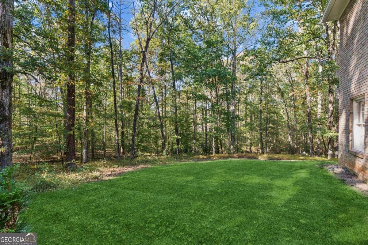 4201 Antelope Lane Snellville - 9