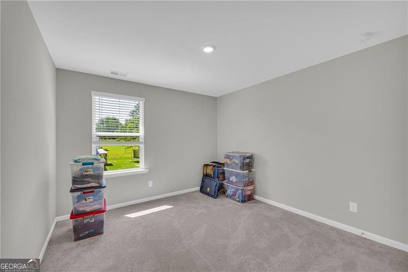 264 Golden Eagle Parkway Braselton - 22