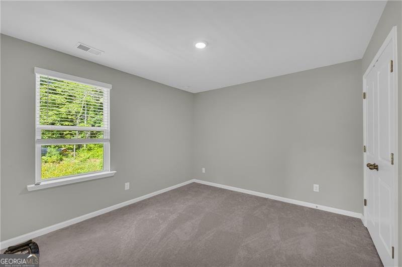 264 Golden Eagle Parkway Braselton - 24