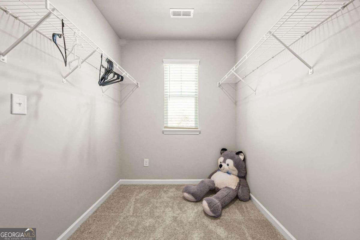 1729 Cadence Street Locust Grove - 29