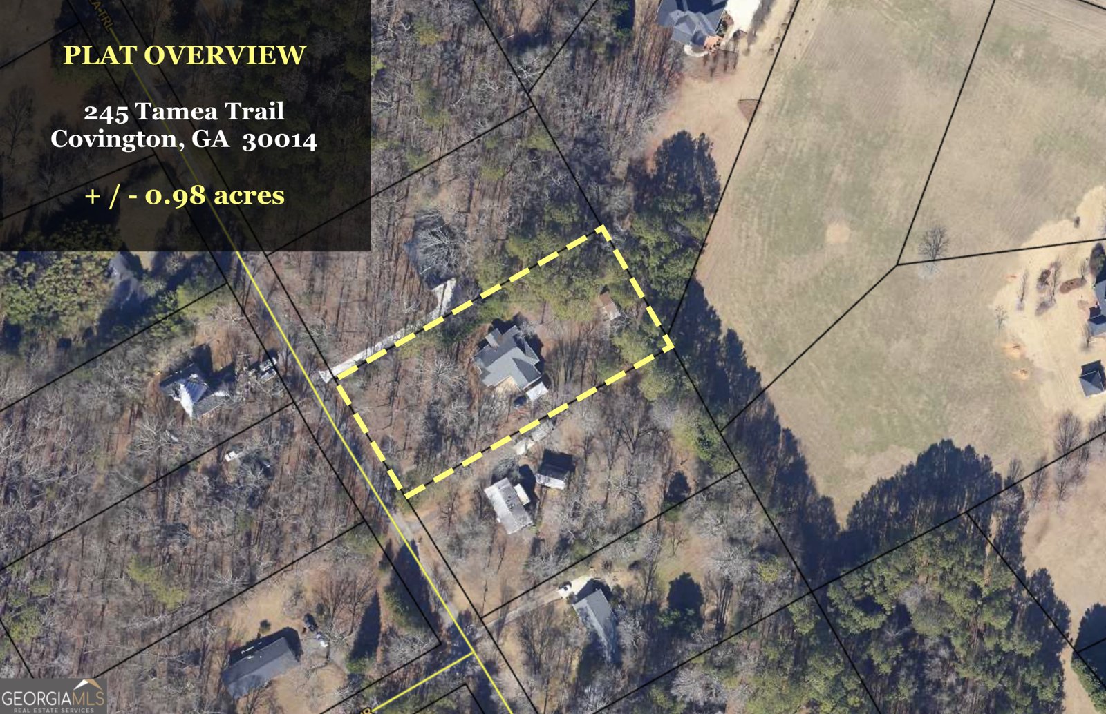 245 Tamea Trail Covington - 31