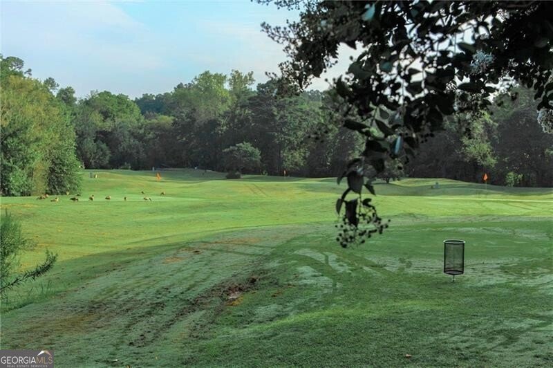 162 Elysian Way Atlanta - 5