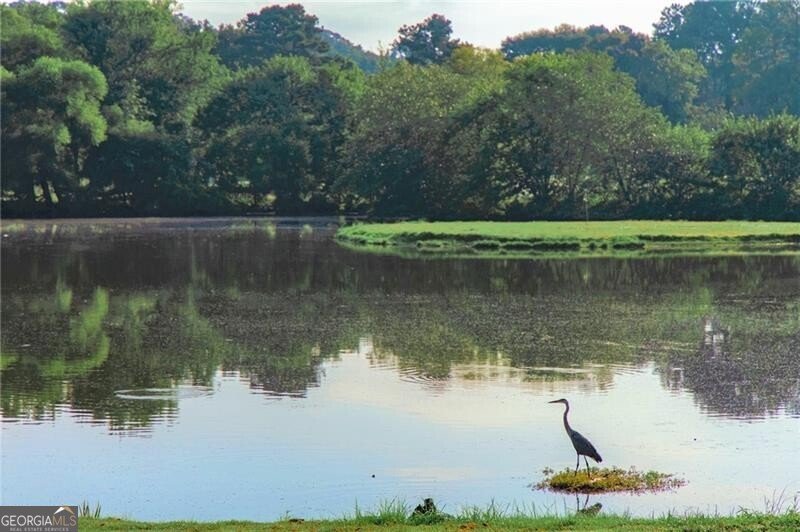 162 Elysian Way Atlanta - 9