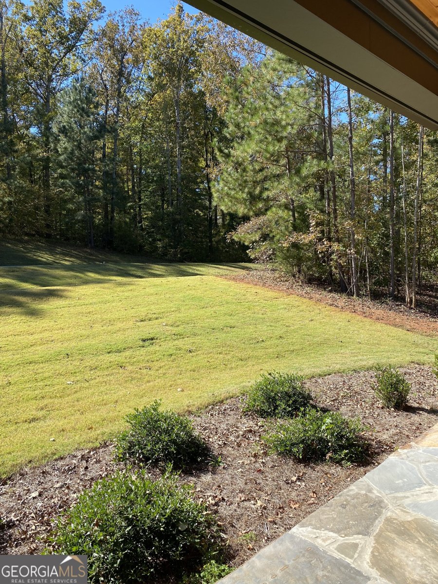 100 Ridge Way Forsyth - 4