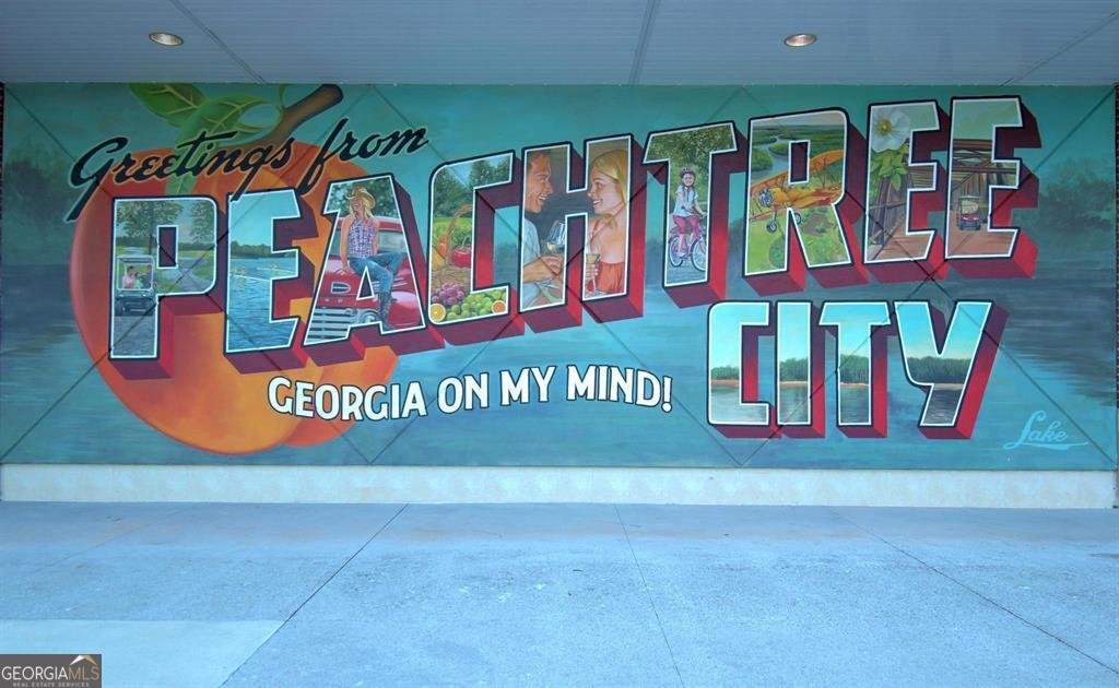 1208 Park Side Peachtree City - 31