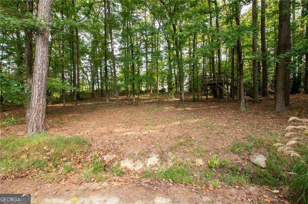 3045 Camp Branch Road Buford - 14