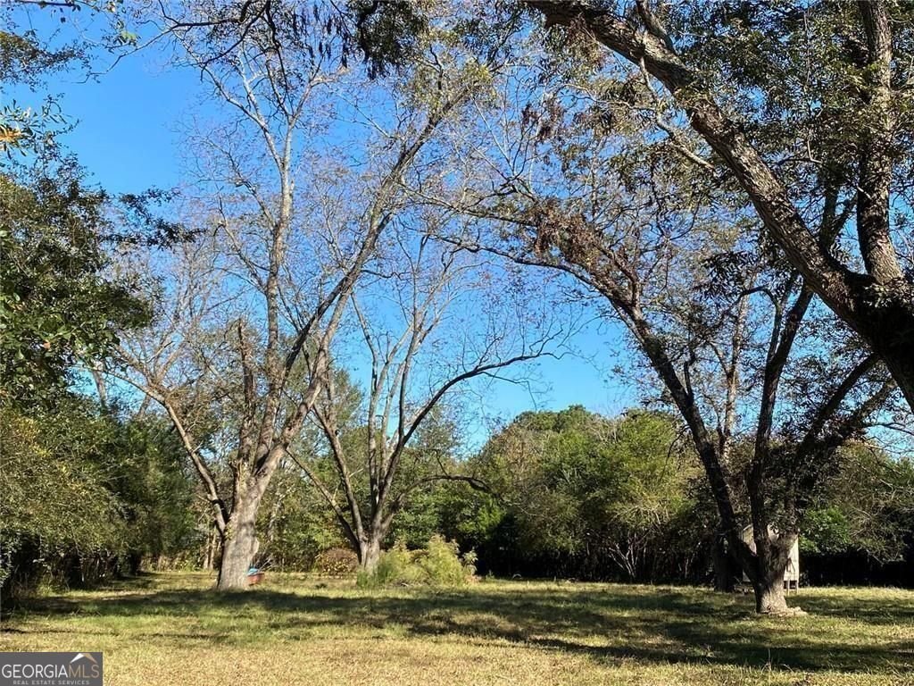 320 Old Perry Road Marshallville - Photo 17