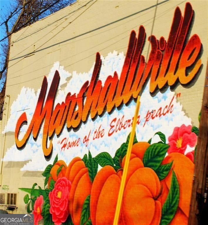 320 Old Perry Road Marshallville - Photo 72