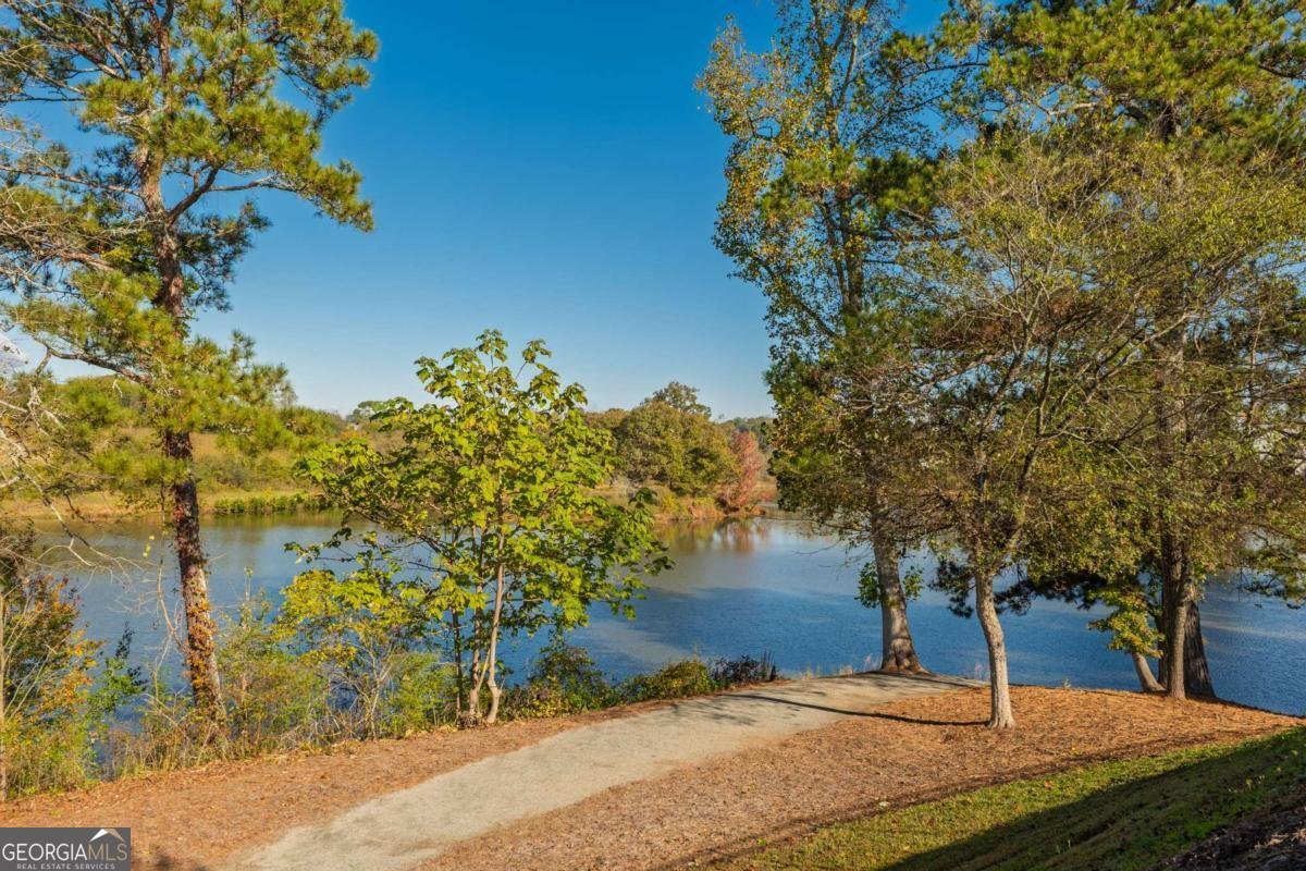 319 Timbercreek Drive Canton - 1