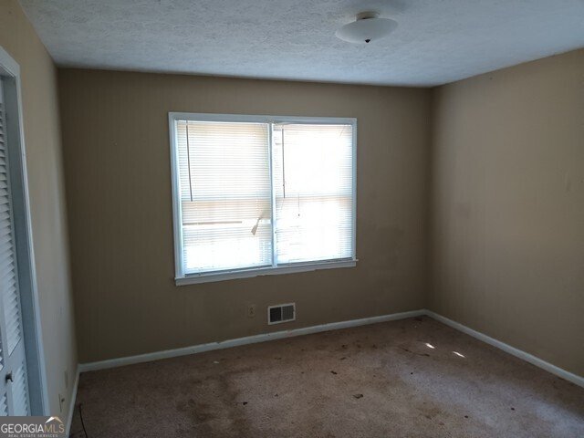 12 Mintz Street Griffin - 17