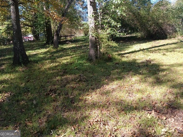 12 Mintz Street Griffin - 5