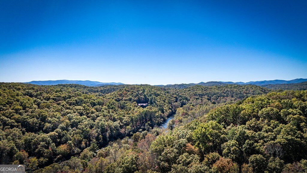 LOT 19 River Chase Way Mineral Bluff - 84