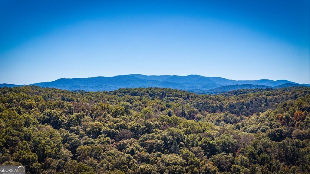 LOT 19 River Chase Way Mineral Bluff - 85