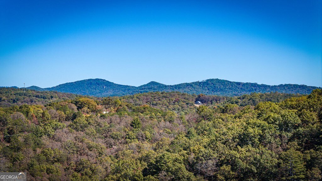 LOT 19 River Chase Way Mineral Bluff - 9
