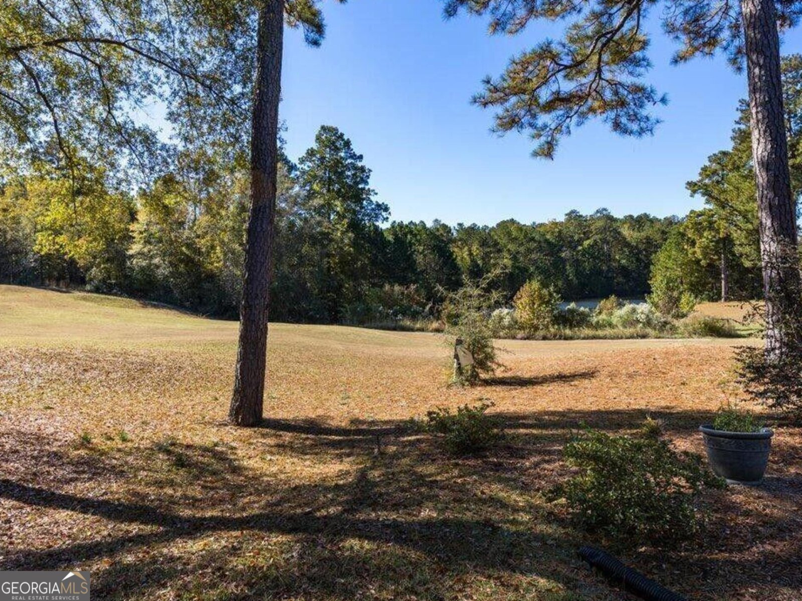 204 Princeton Court Macon - 30