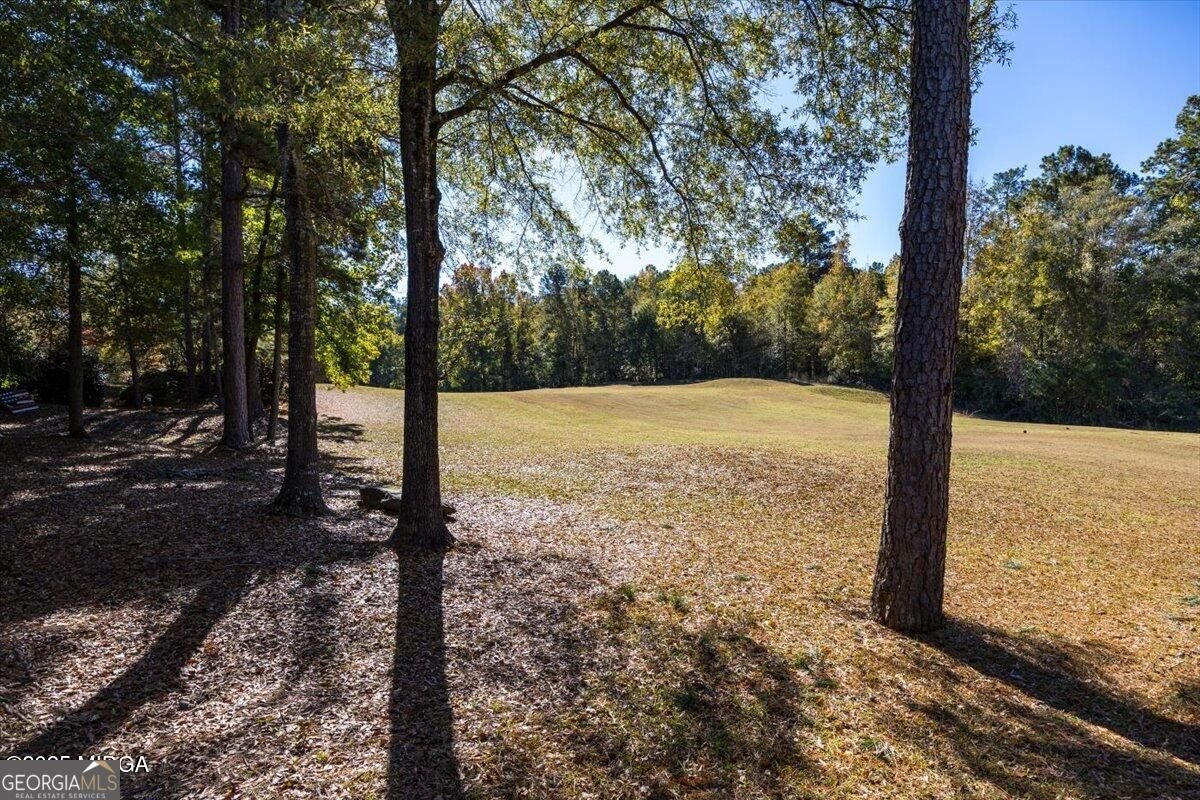 204 Princeton Court Macon - 31