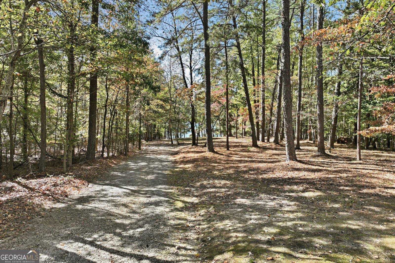 6558 Lanier Islands Parkway Buford - 19