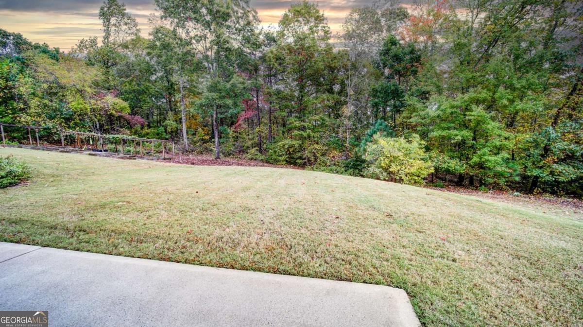 2220 Stirling Bridge Road Cumming - 11