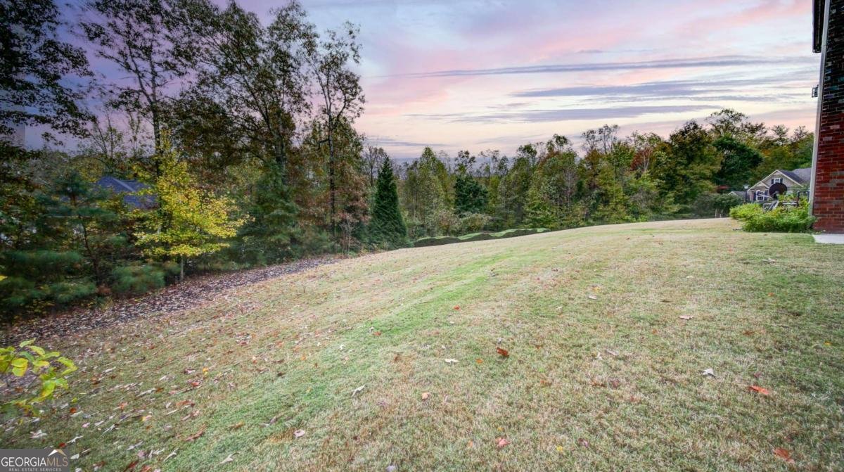 2220 Stirling Bridge Road Cumming - 71