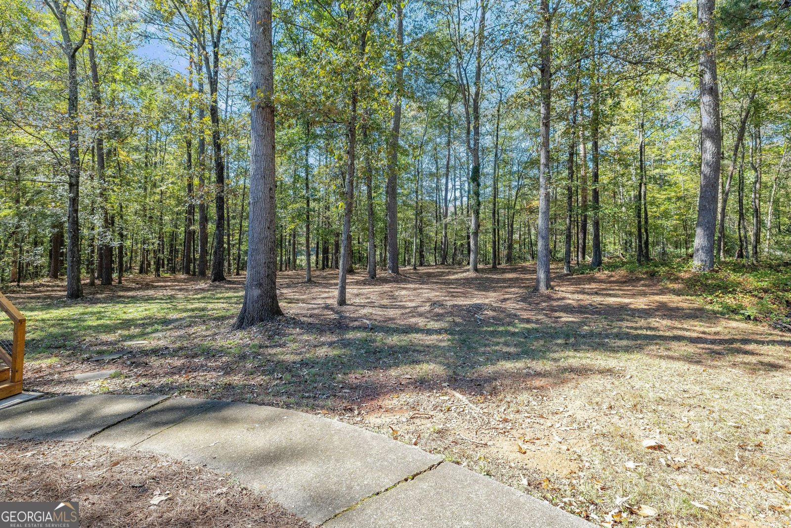 145 Mill Chase Covington - 30