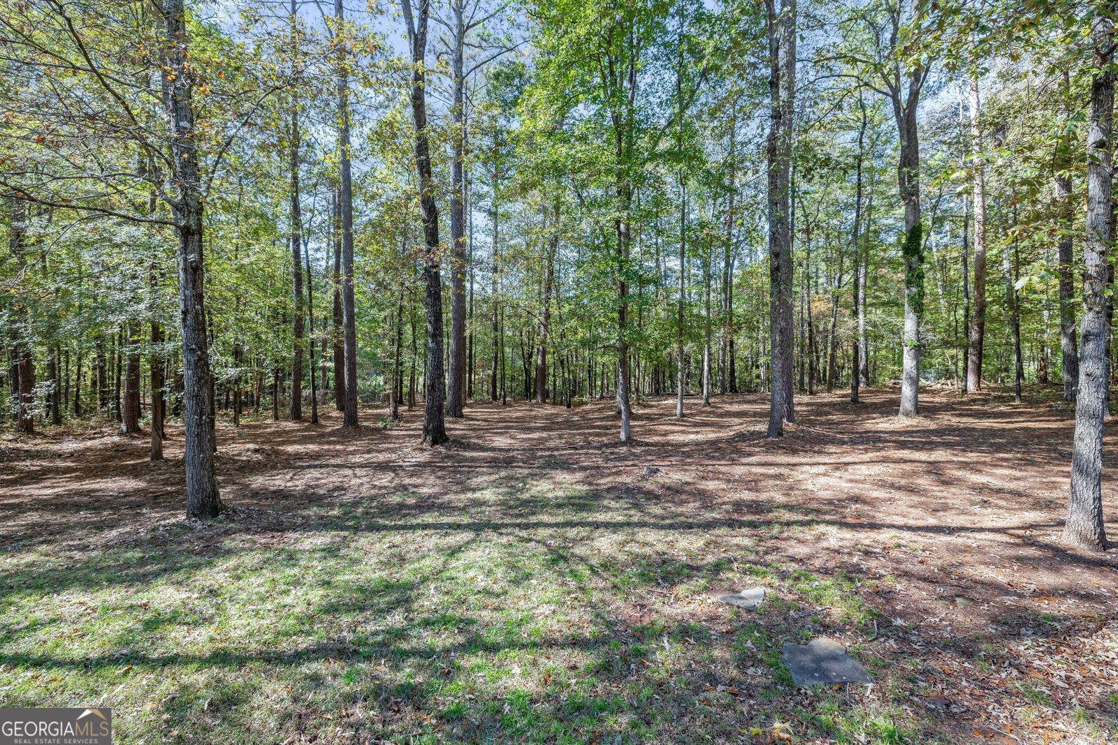 145 Mill Chase Covington - 31