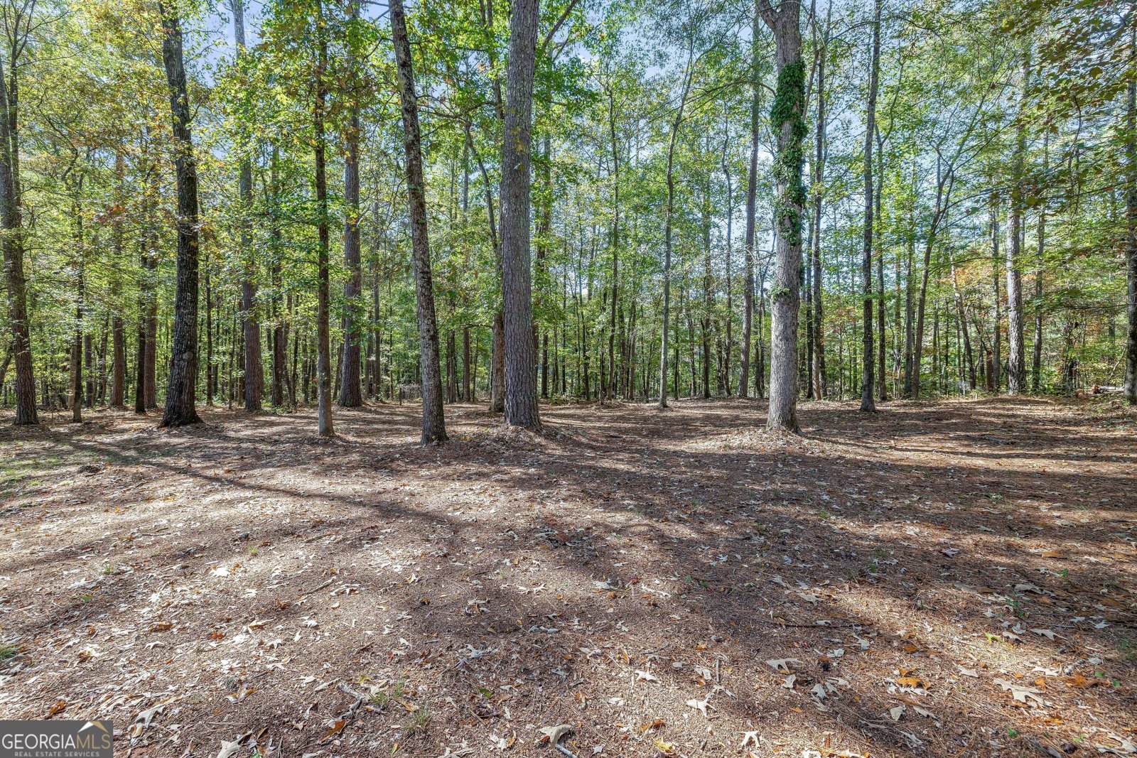 145 Mill Chase Covington - 33