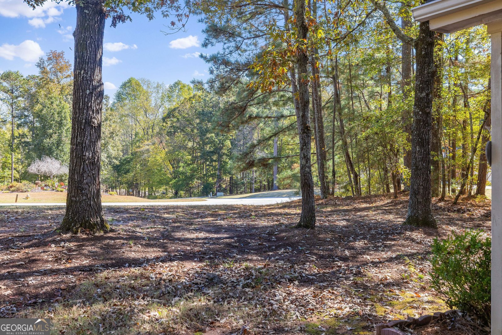 145 Mill Chase Covington - 6