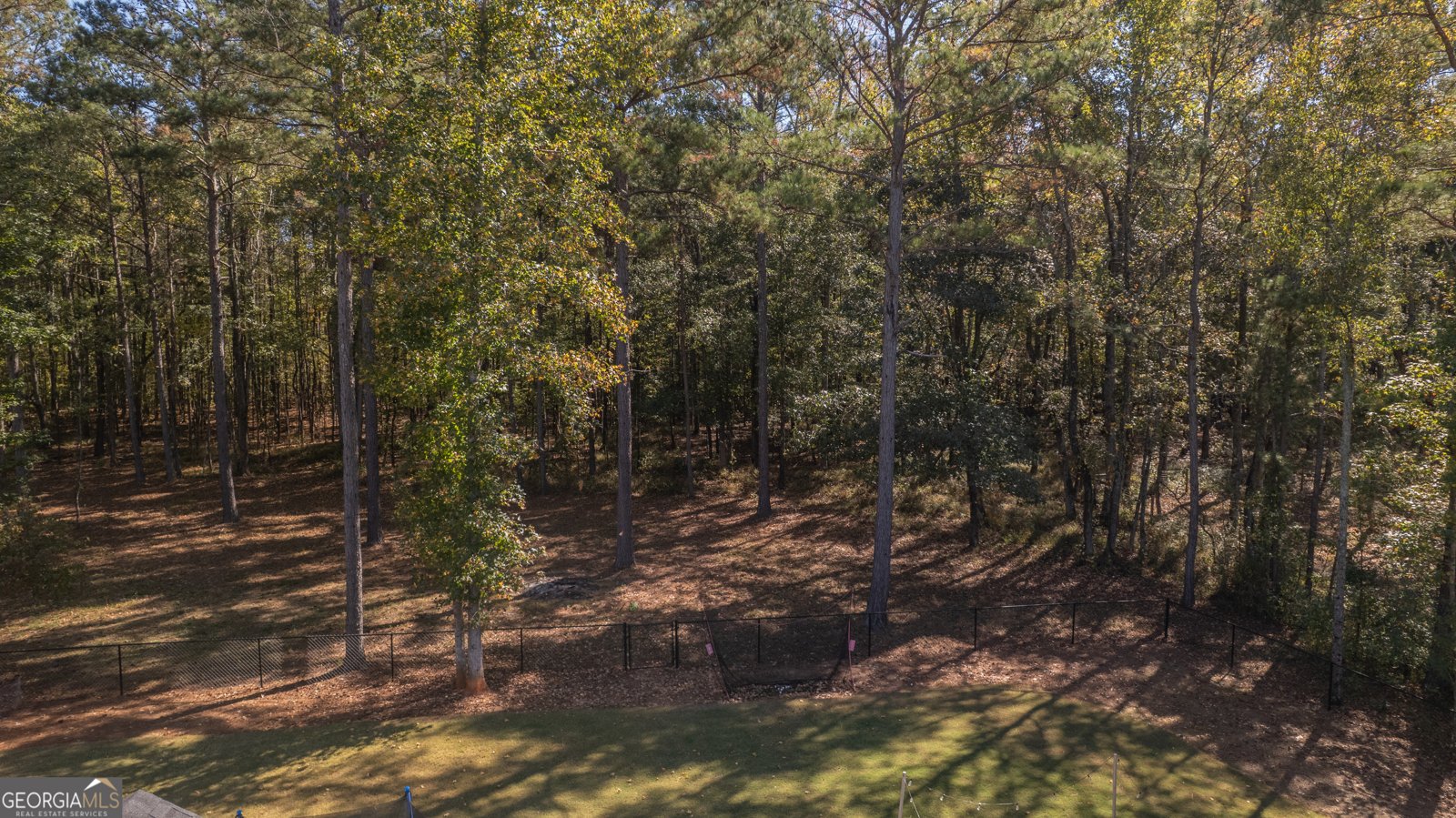 659 Park Pine Circle Grantville - 10