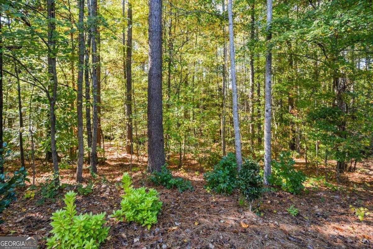 1200 Double Branches Lane Dallas - 46