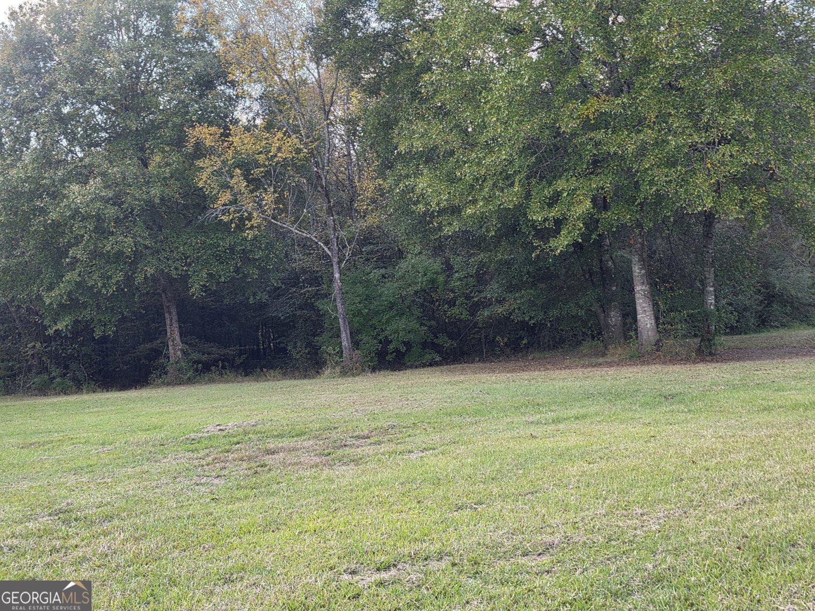 7805 Nowell Road Macon - 17