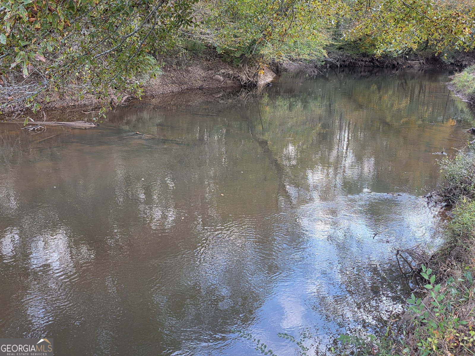 7805 Nowell Road Macon - 19