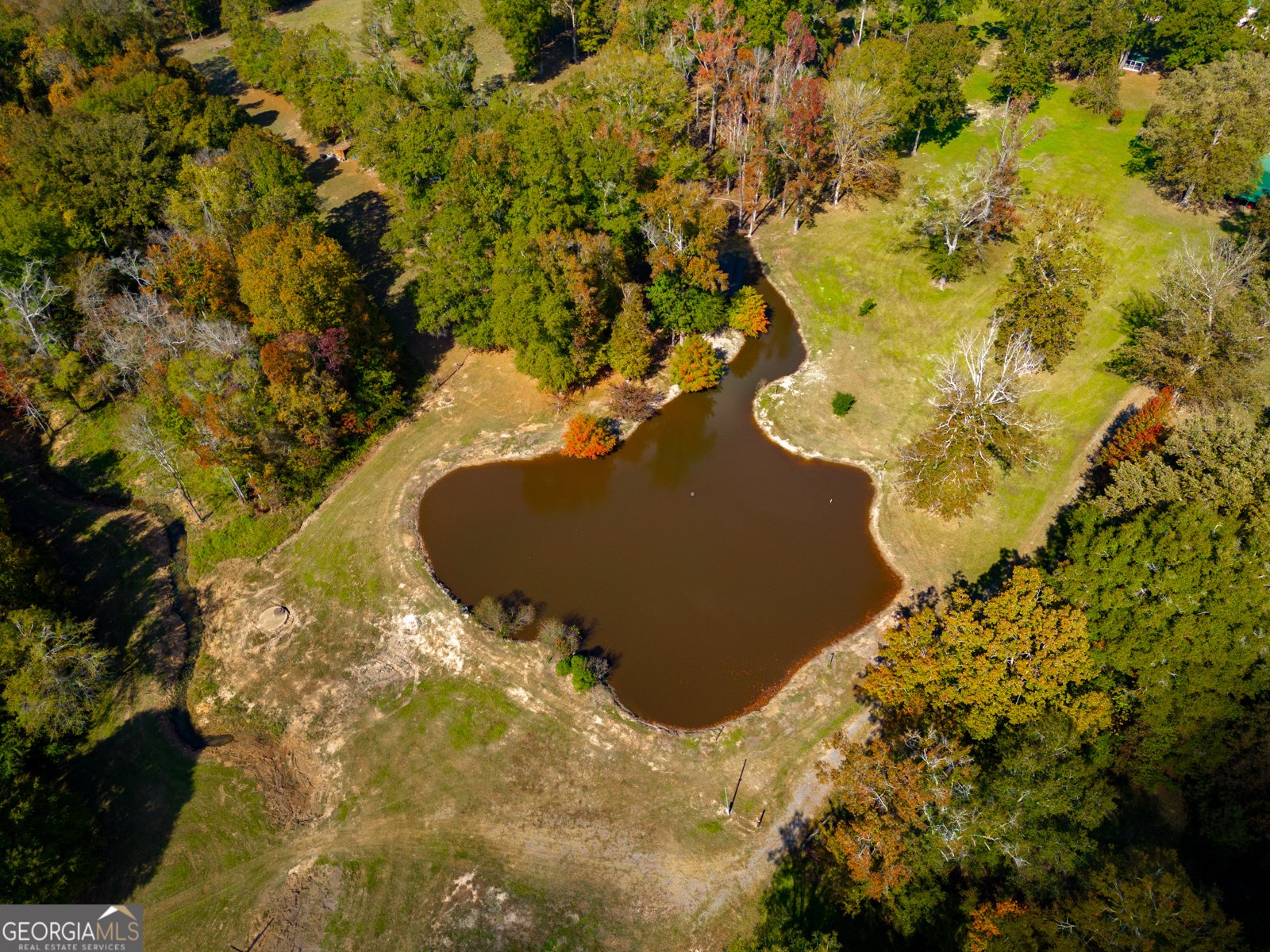 7805 Nowell Road Macon - 48