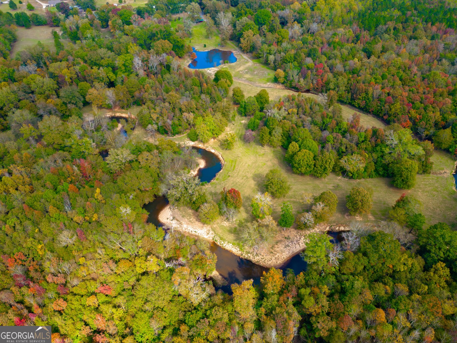 7805 Nowell Road Macon - 55