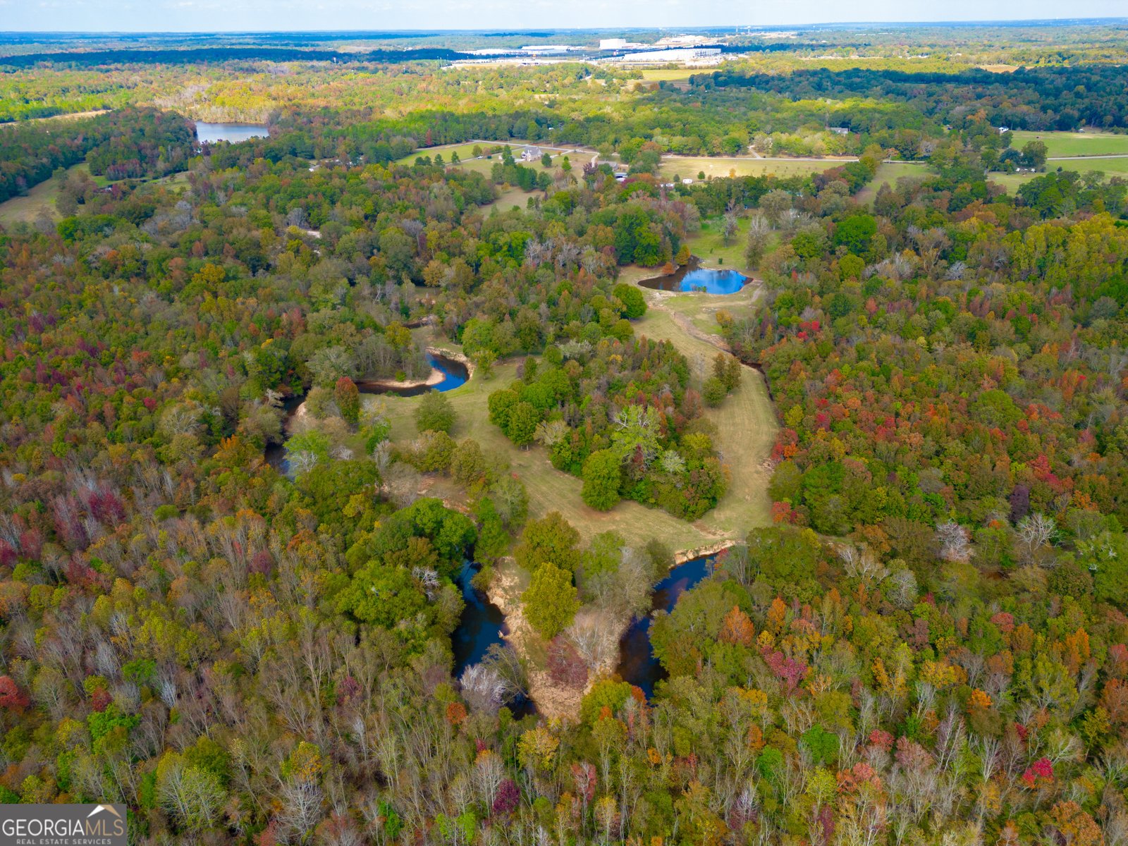 7805 Nowell Road Macon - 56