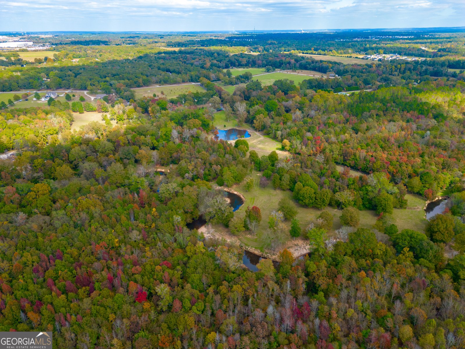 7805 Nowell Road Macon - 58