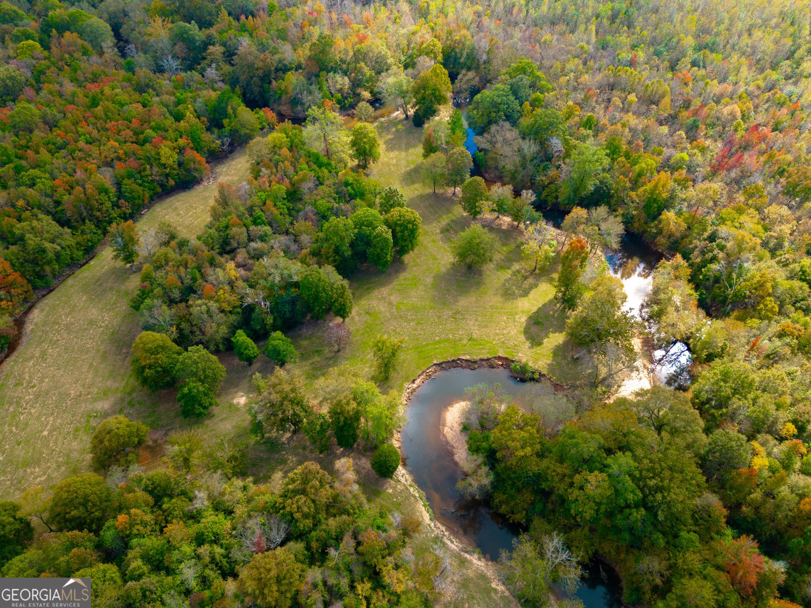 7805 Nowell Road Macon - 62