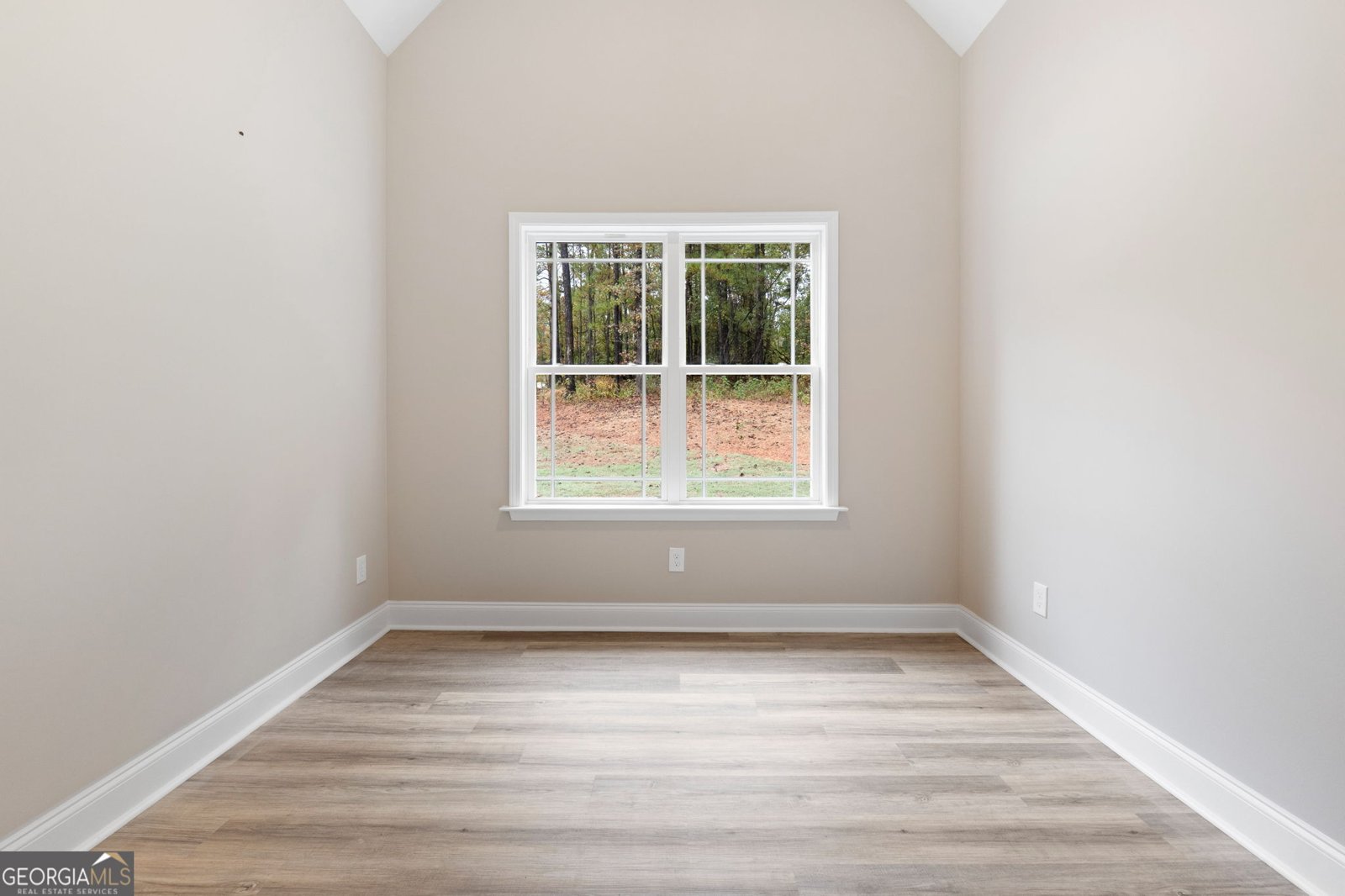 2754 Boxankle Road Forsyth - 14