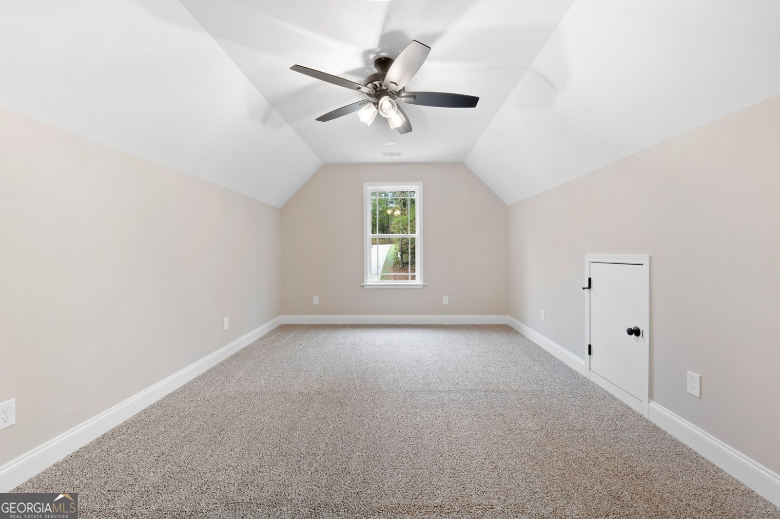 2754 Boxankle Road Forsyth - 19