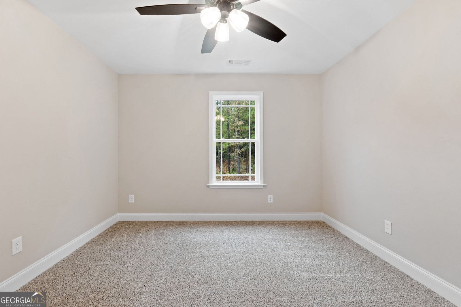 2754 Boxankle Road Forsyth - 22