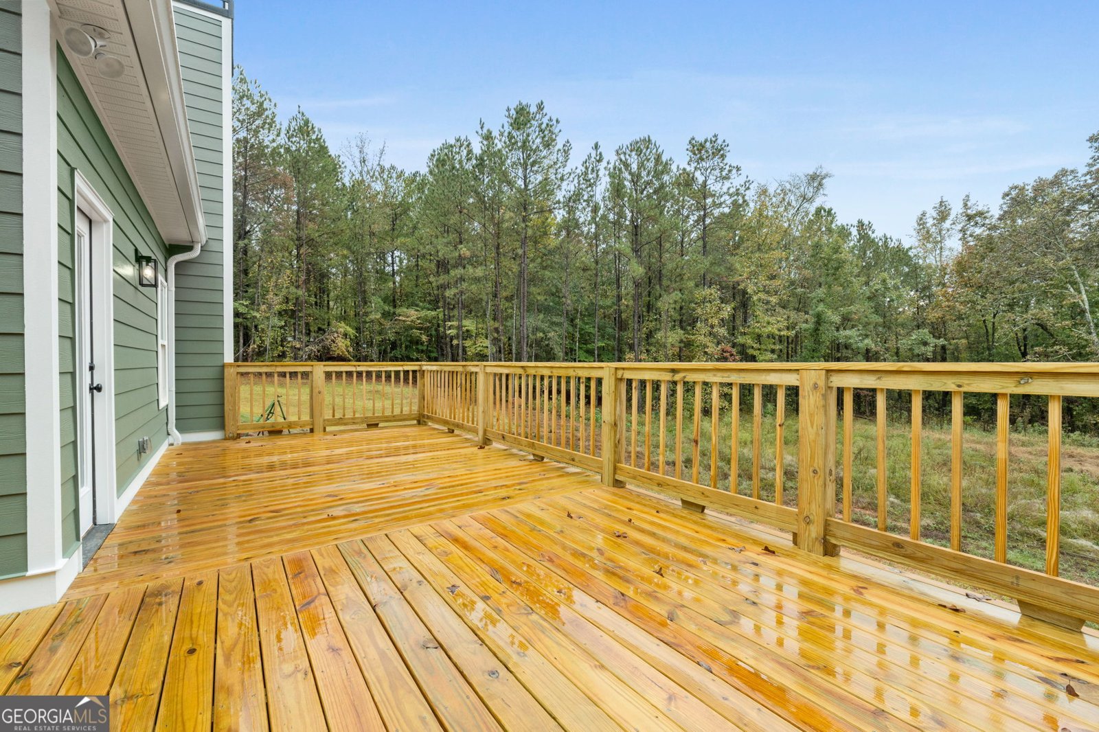 2754 Boxankle Road Forsyth - 25