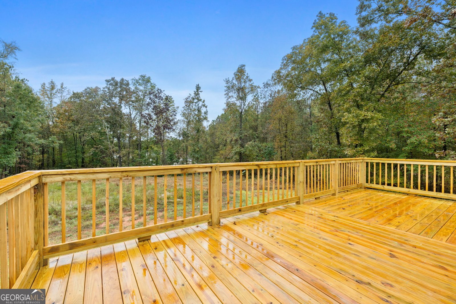 2754 Boxankle Road Forsyth - 26