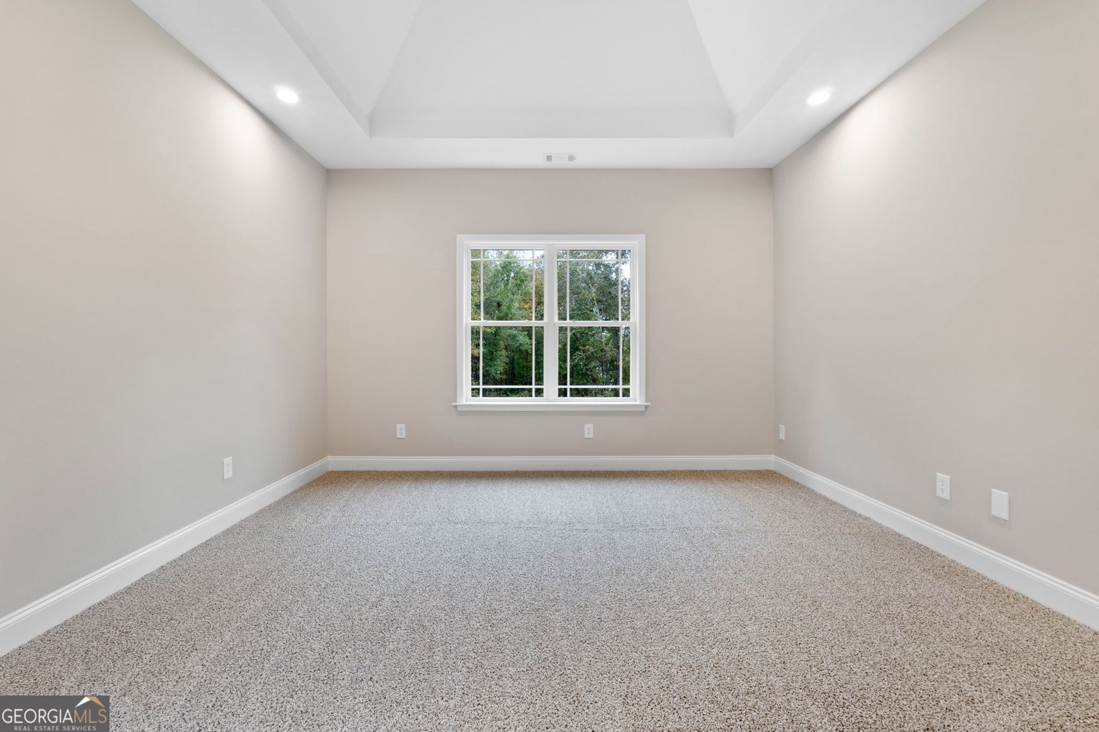 2754 Boxankle Road Forsyth - 6