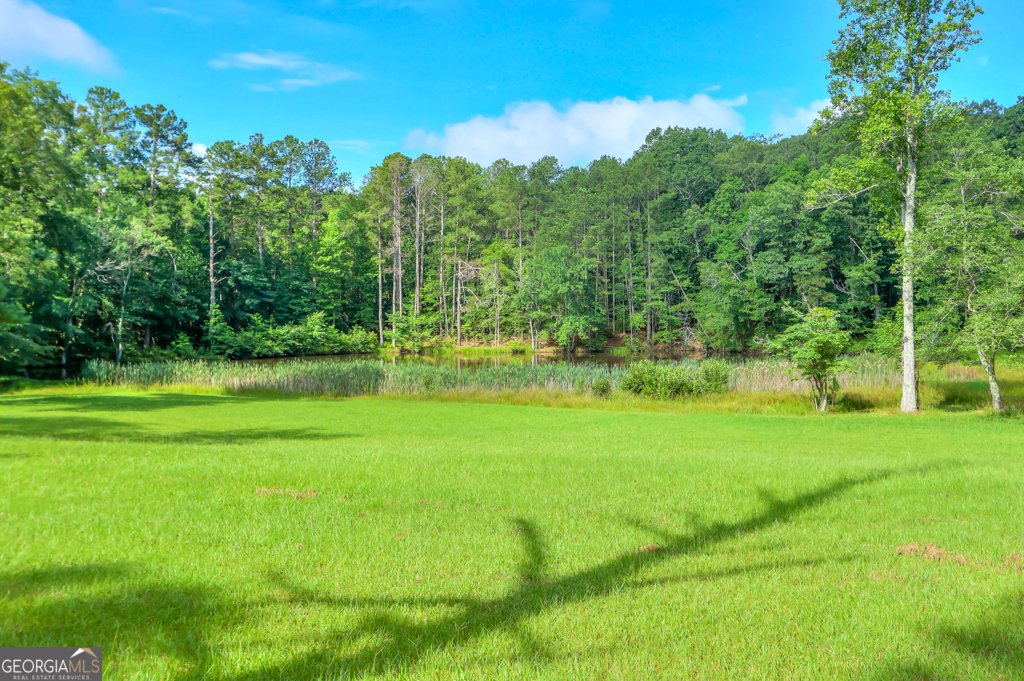 232 Bethel Church Road Hiram - 13