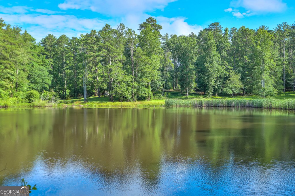 232 Bethel Church Road Hiram - 20