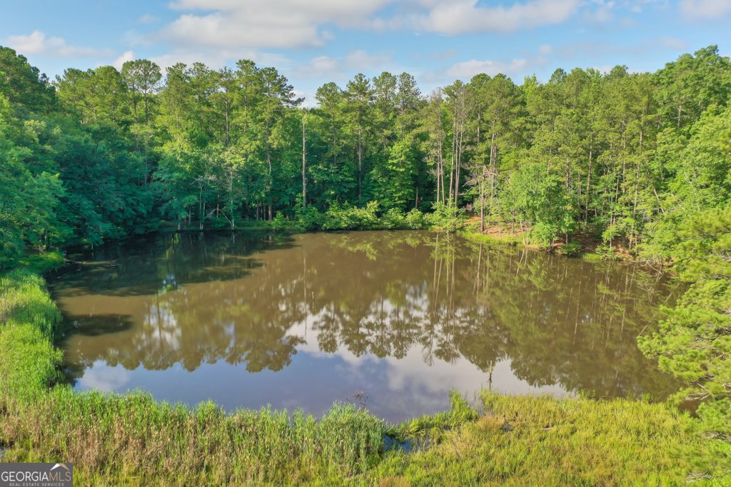 232 Bethel Church Road Hiram - 21