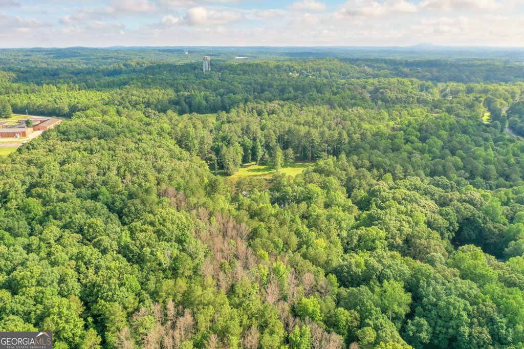 232 Bethel Church Road Hiram - 24