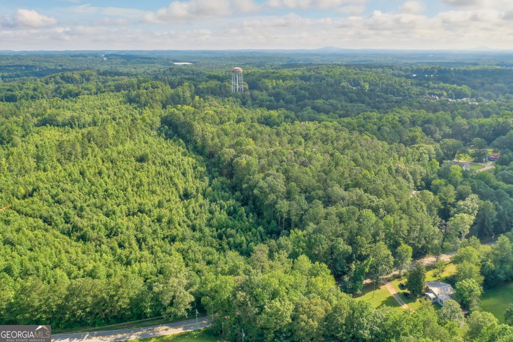 232 Bethel Church Road Hiram - 26