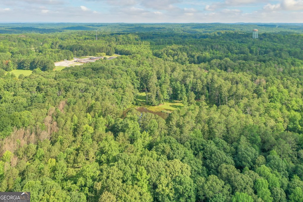 232 Bethel Church Road Hiram - 3